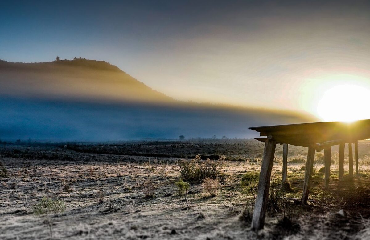 Governo abre crédito de R$ 12 bilhões para produtores rurais