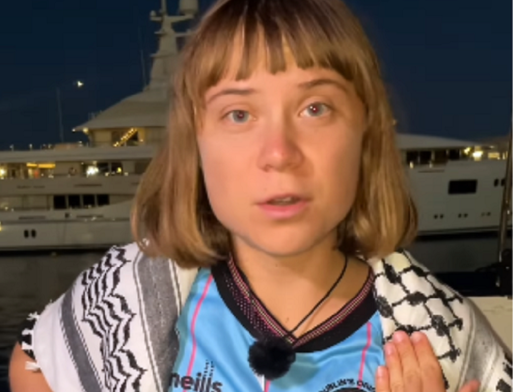 Fridays for Future desmente vinda de Greta a Belém e cobra protagonismo para jovens brasileiros