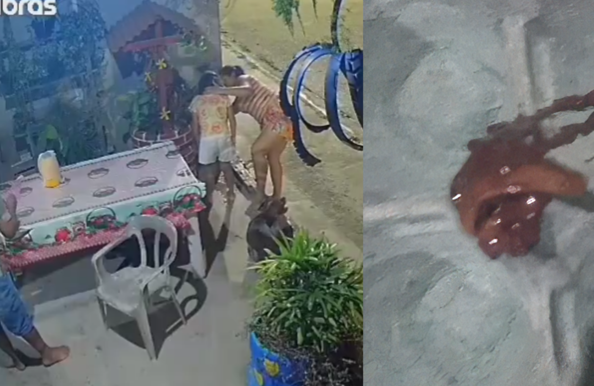 Criança passa mal após encontrar lesma em açaí vendido em Mosqueiro