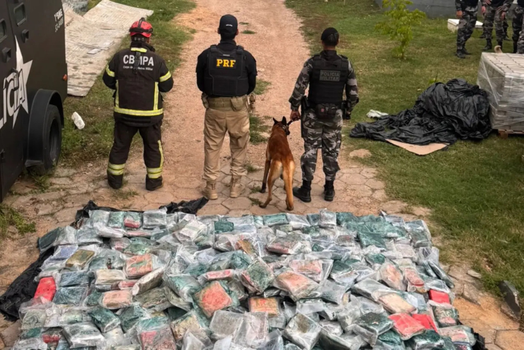 Cães farejadores ajudam polícia a apreender mais de uma tonelada de drogas em Marabá