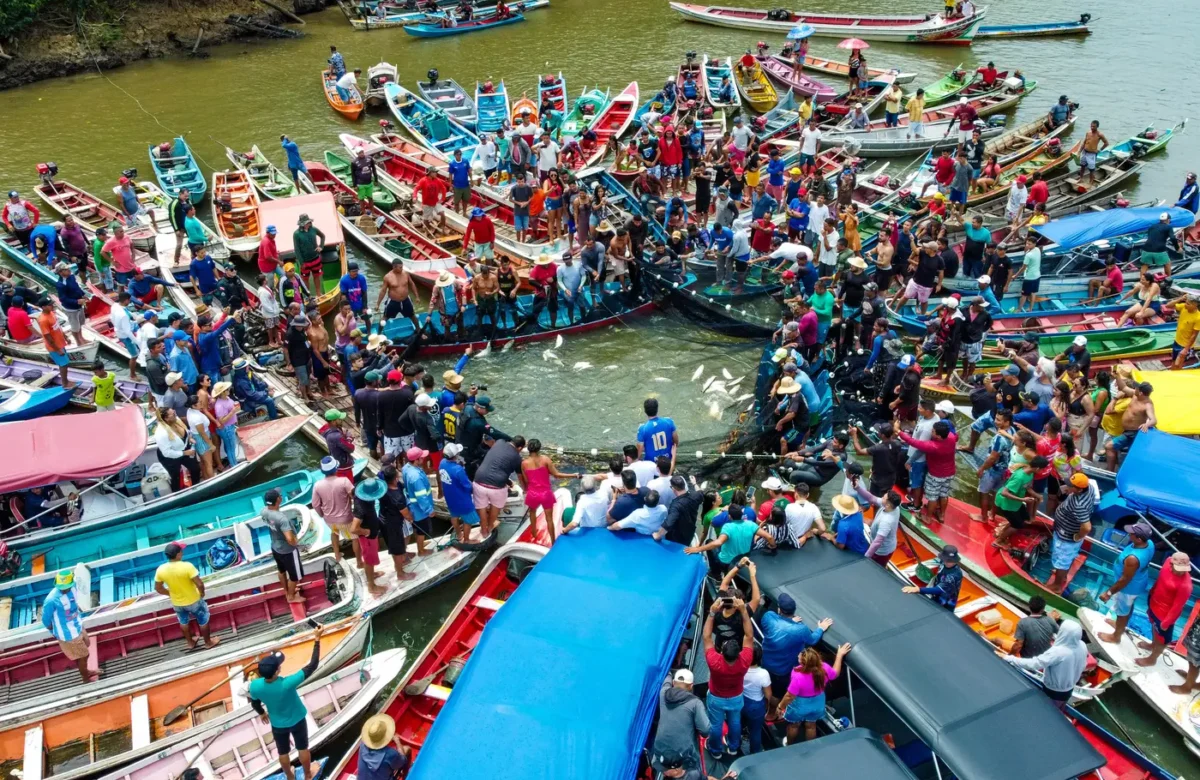 Pesca do mapará é retomada neste domingo após quatro meses de defeso