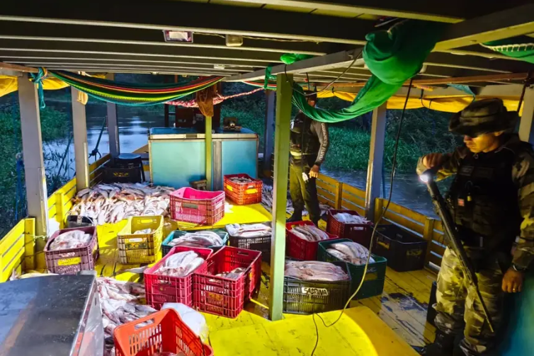 Cinco toneladas de mapará são apreendidas durante pesca ilegal no defeso em Óbidos