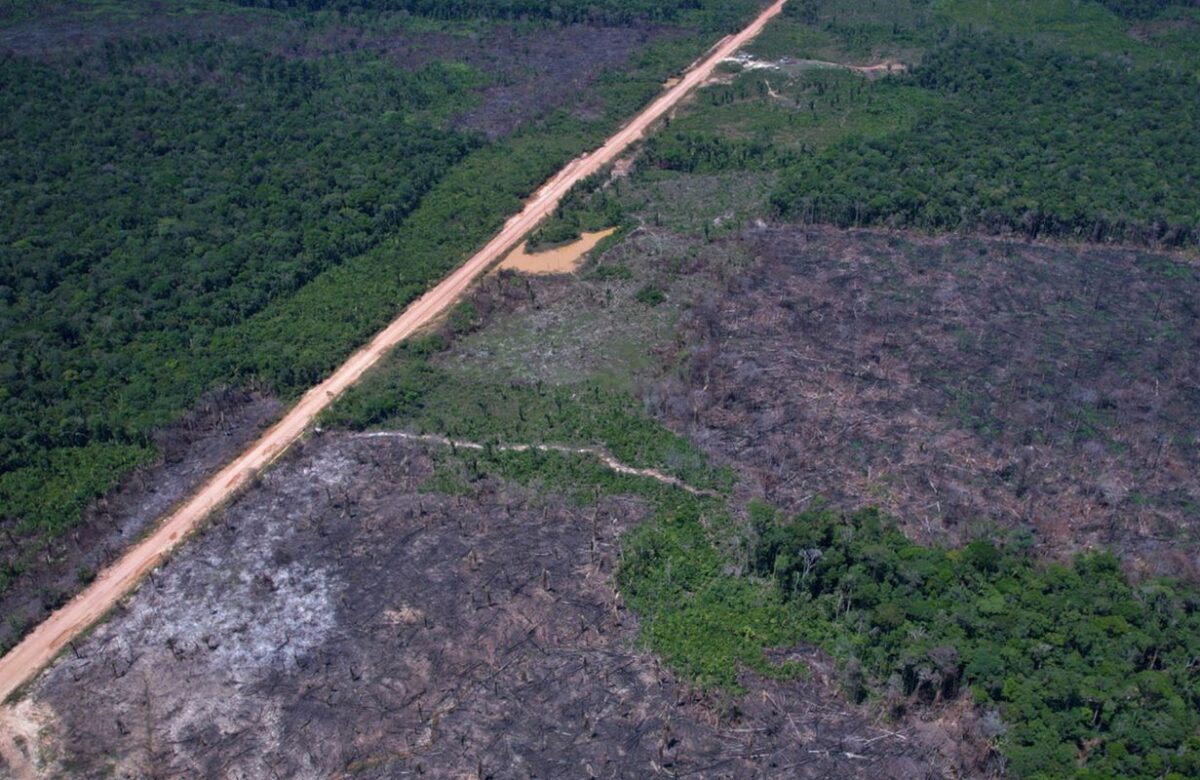 Alertas de desmatamento caem 35% na Amazônia e 6% no Cerrado