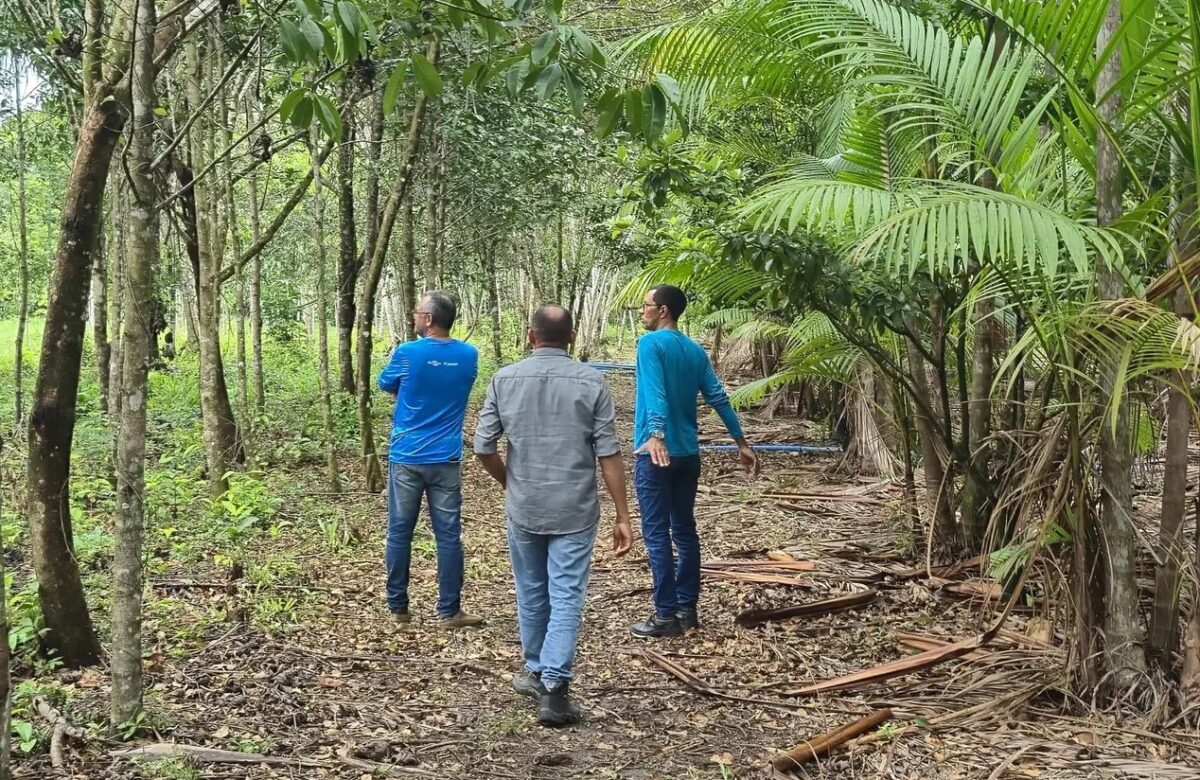 Milhões do crédito rural avançam no Marajó e fecham o cerco sobre quilombolas