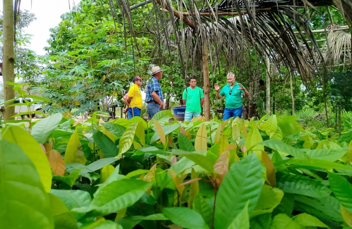 Emater-Pará abre PSS com 24 vagas temporárias e salários de até R$ 5 mil