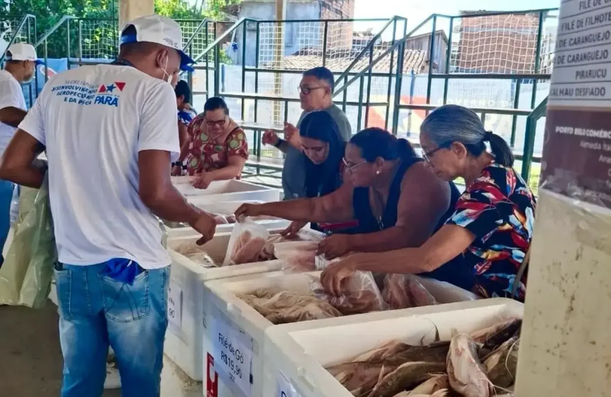 Semana do Pescado amplia oferta de peixes em Belém e mais 70 municípios do estado durante a Semana Santa