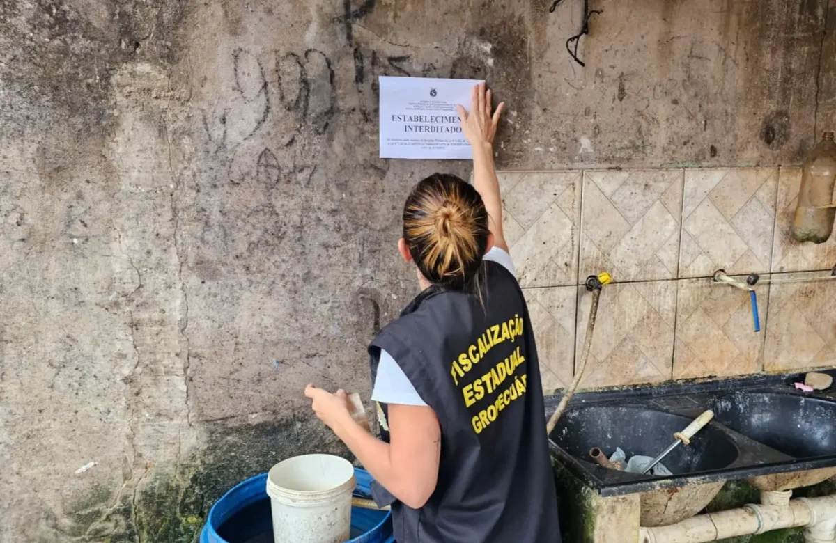 Operação contra abate clandestino interdita quatro estabelecimentos em Paragominas