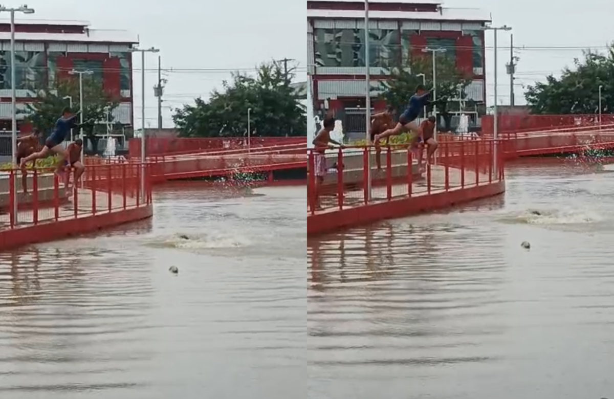 Crianças mergulham no canal da Doca nesta quinta-feira (05) 