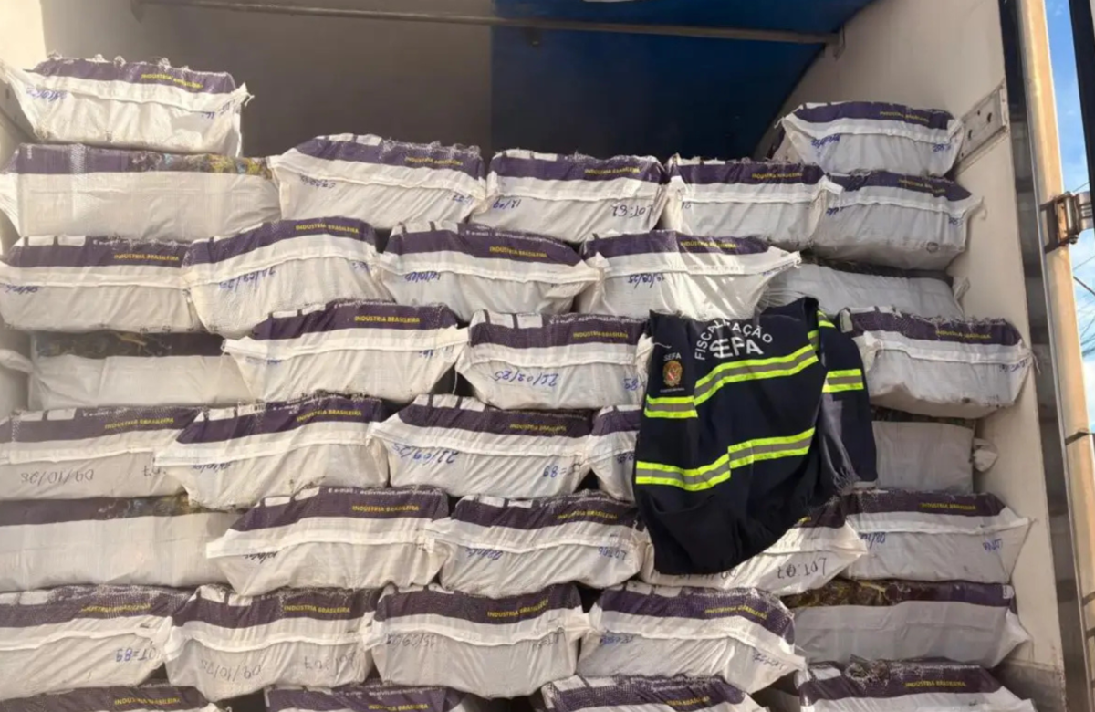 40 toneladas de açaí com documentação irregular são apreendidas no Pará