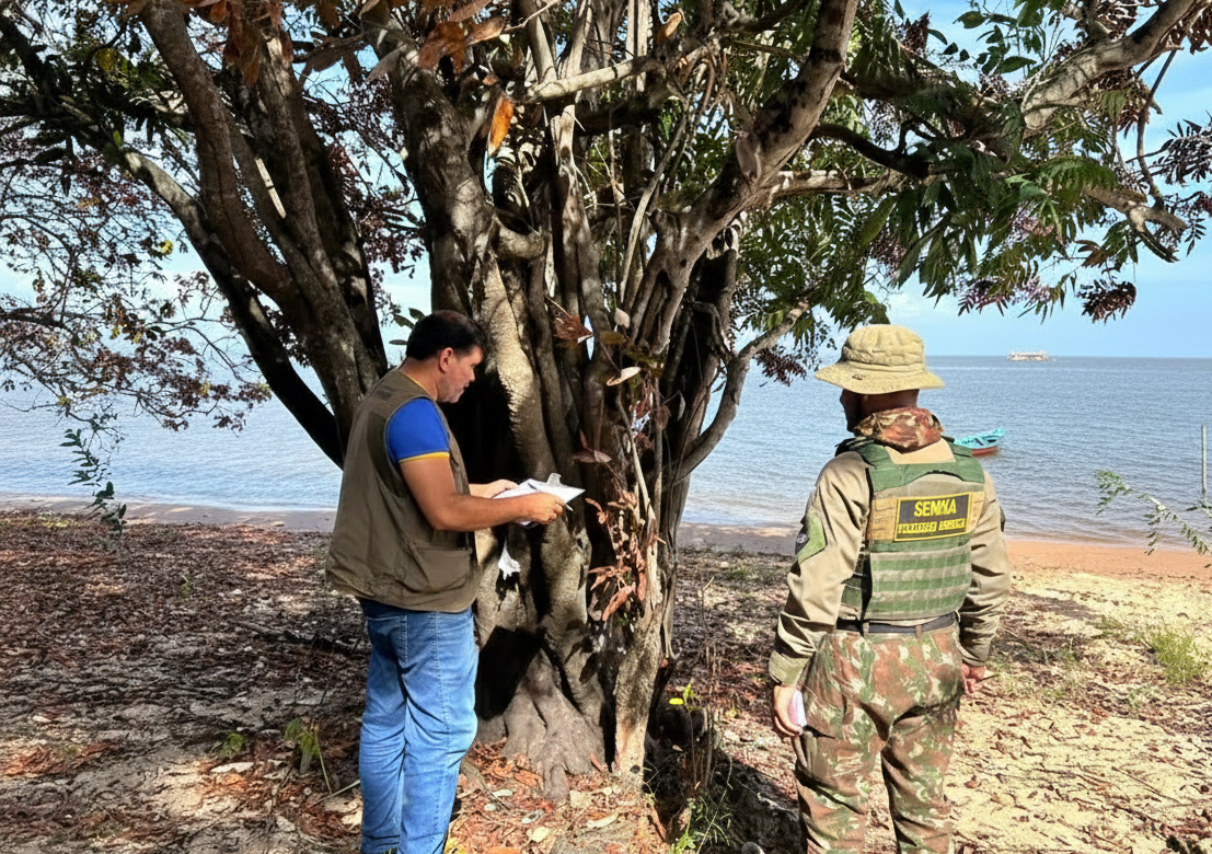 Semma investiga envenenamento de árvores em Alter do Chão, no Pará