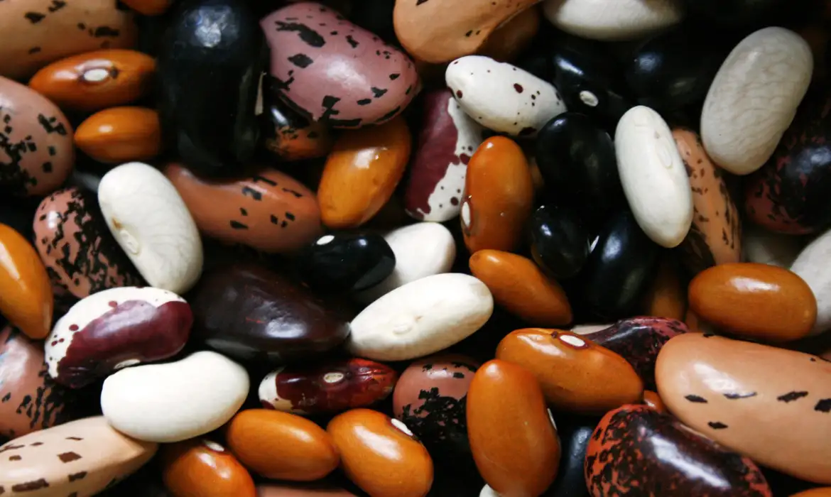 Cesta básica volta a subir em Belém e feijão vira o principal vilão do bolso do consumidor