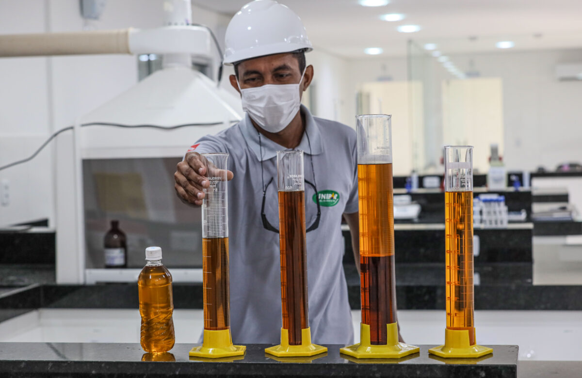 Pará avança no biodiesel, mas ainda ocupa papel periférico na engrenagem nacional