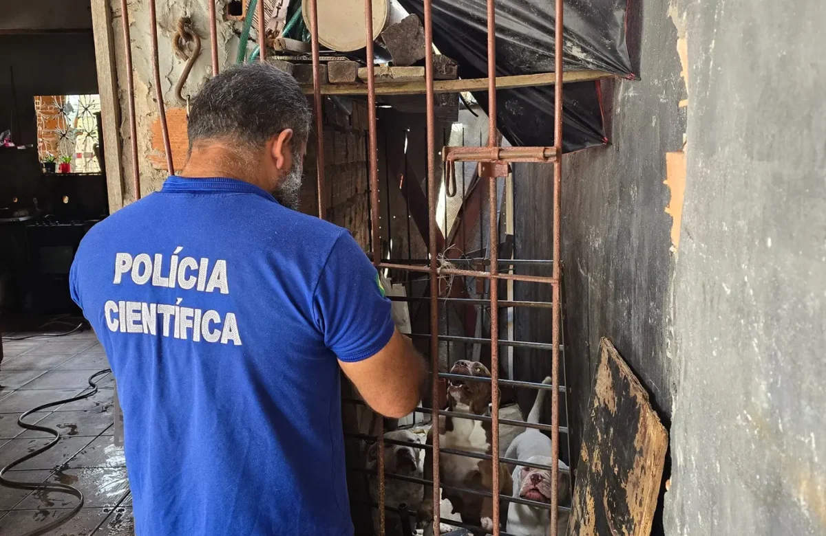 Operação contra maus-tratos a animais apura mais de 50 denúncias e resulta em prisão em Belém e Região Metropolitana