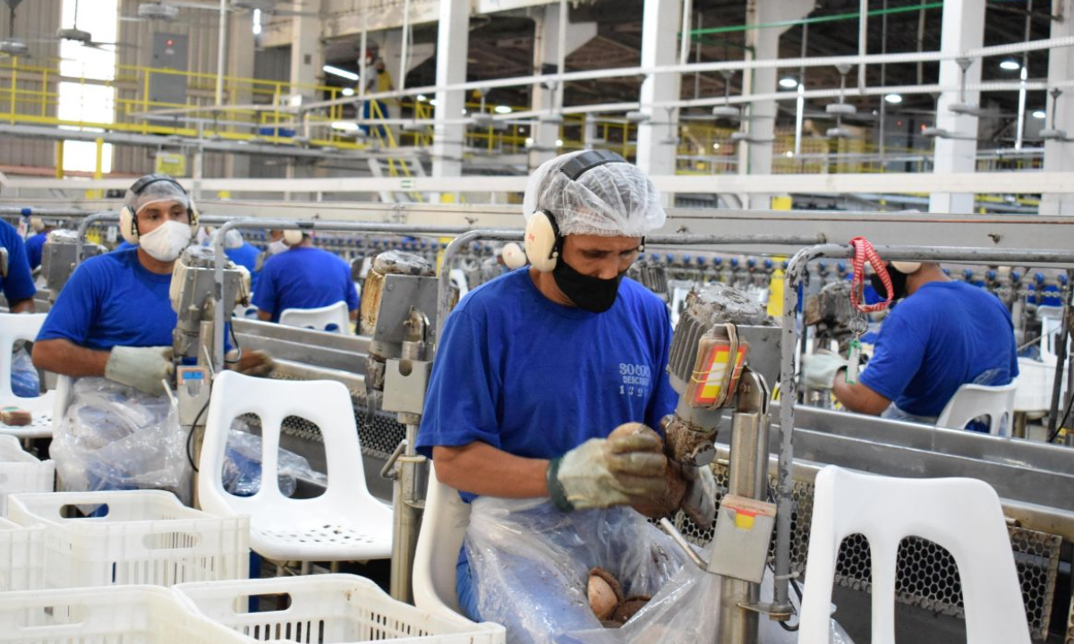 Pará registra saldo de 275 mil empregos formais desde 2019, aponta Dieese