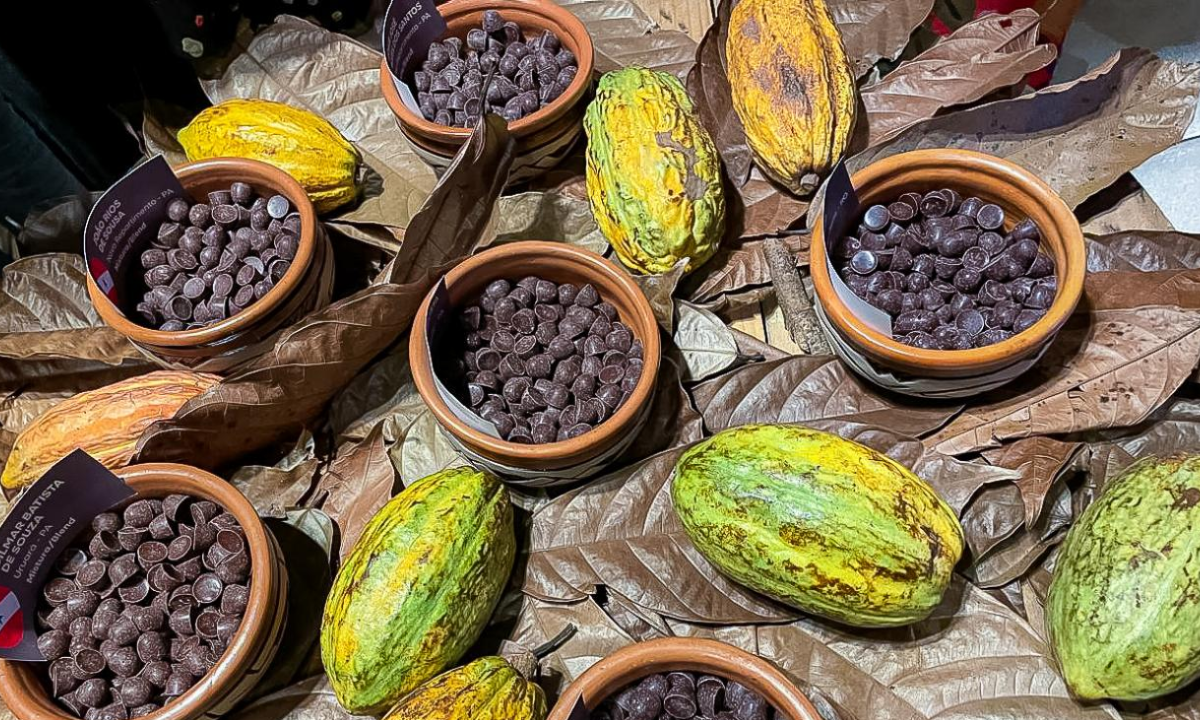 Senado aprova projeto que define percentual mínimo de cacau em chocolates no Brasil
