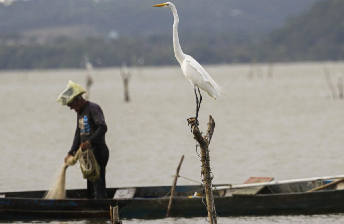 Mudanças aprovadas para o seguro-defeso previnem fraudes, diz relator