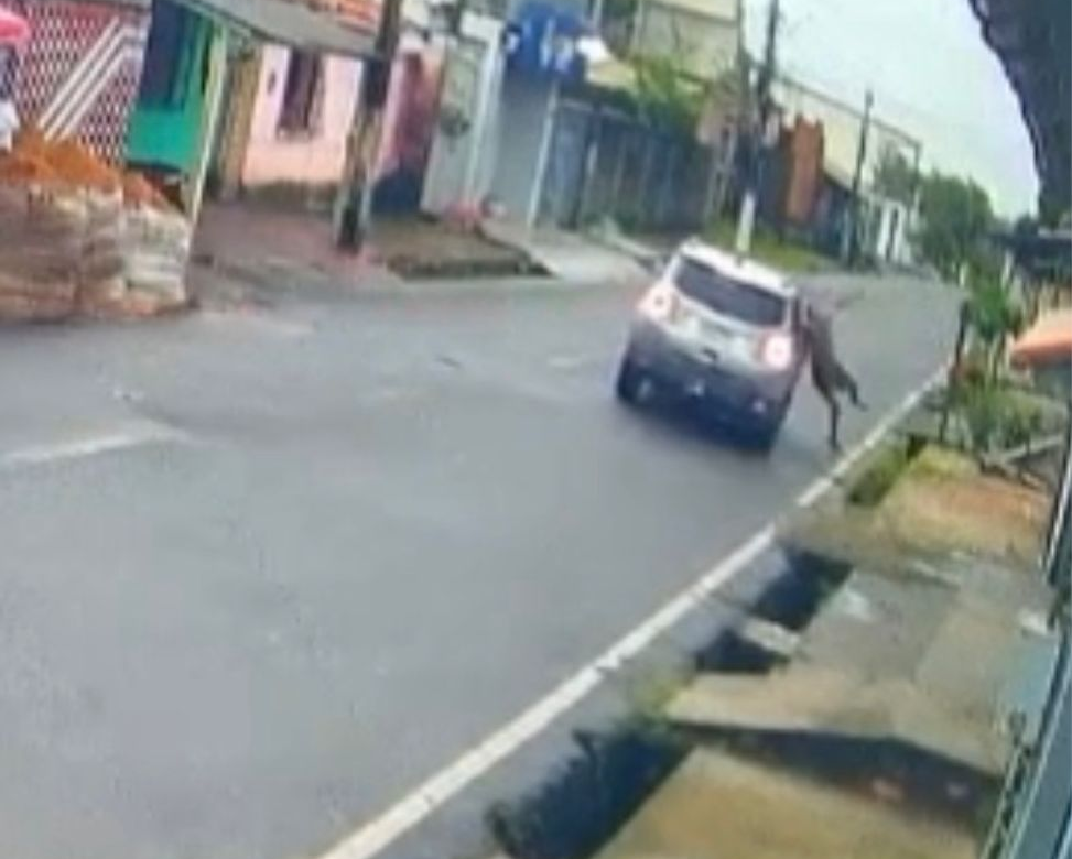 Pedestre é atropelado em Mocajuba e motorista foge