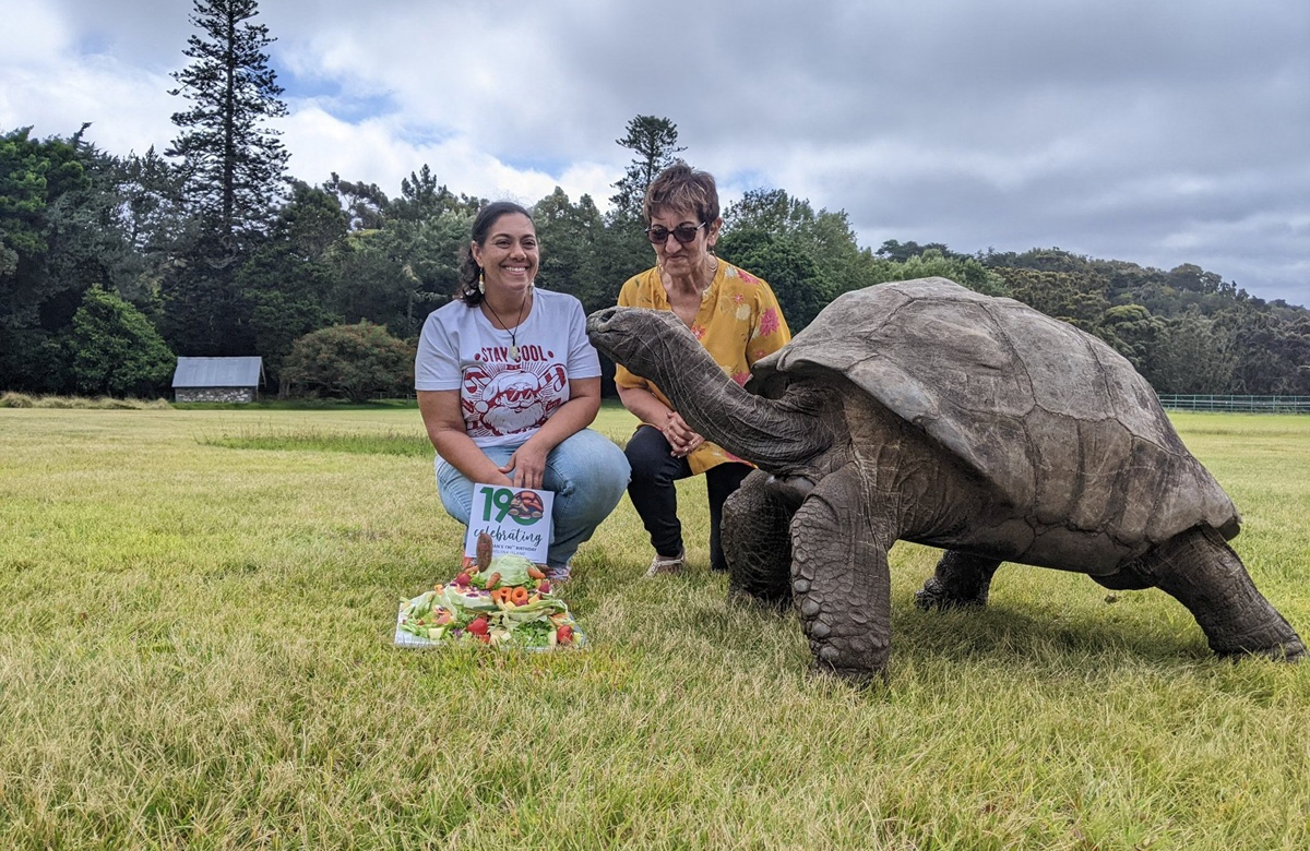 Publicação que anuncia morte do animal mais velho do mundo é falsa; tartaruga Jonathan segue viva