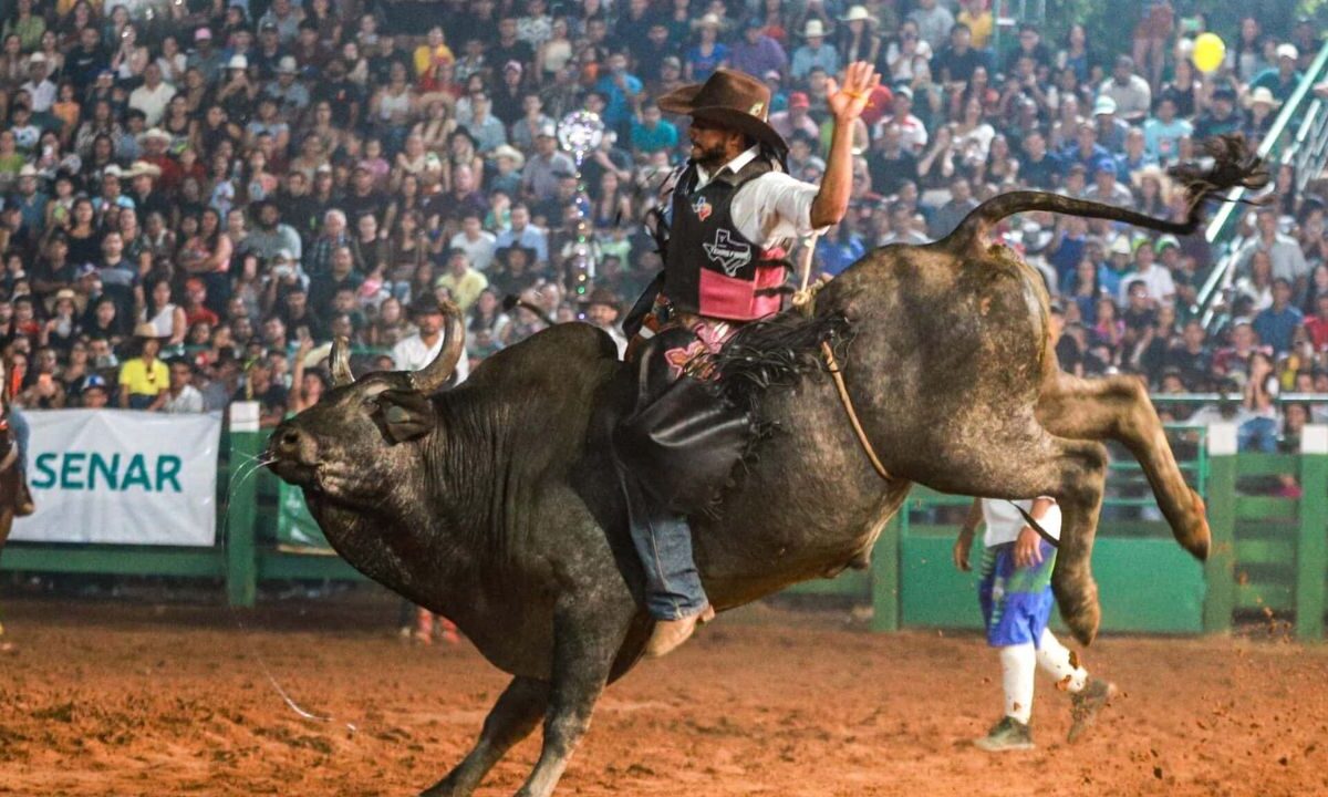 MP investiga rodeio da Expofac 2026 e coloca bem-estar animal no centro do debate em Castanhal