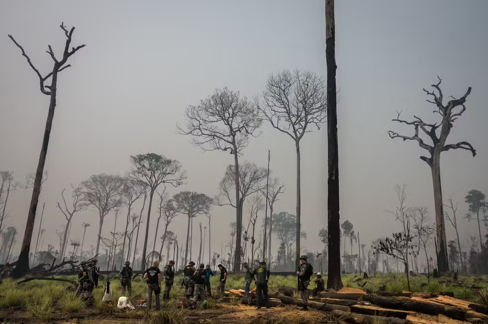 Câmara aprova redução da Floresta Nacional do Jamanxim, no Pará